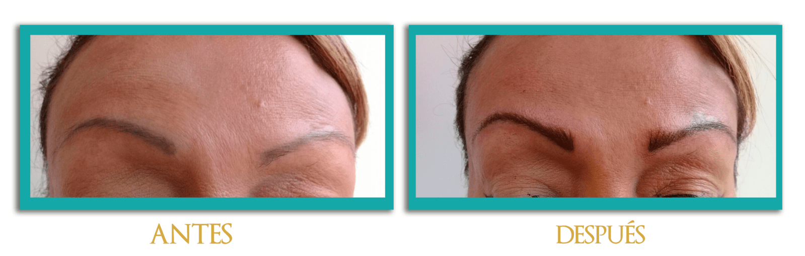 Pigmentacion-cejas-4